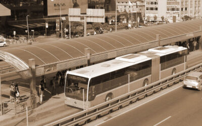 28810938987 60d544b741 b 1 e1714955047538 Fasulyeden