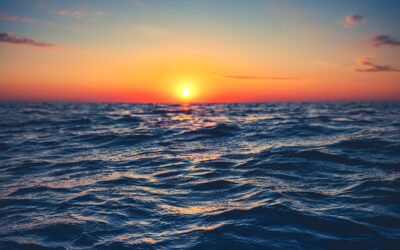 iStock 1267333118 Fasulyeden