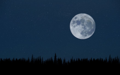 Untitled design 22 2 Fasulyeden