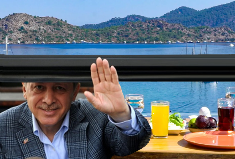 Tayyip Tatile Çıktı