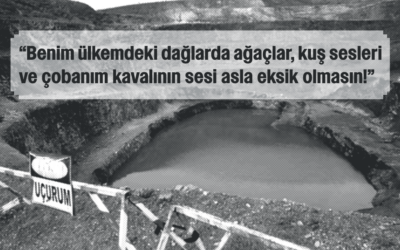 caldagi nikel Fasulyeden