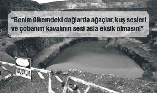 caldagi nikel Fasulyeden