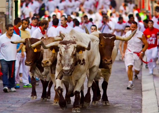 san fermin festivali