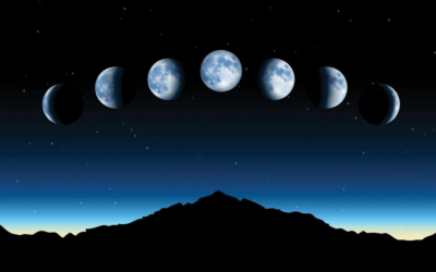 bir hafta 7 gun Fasulyeden