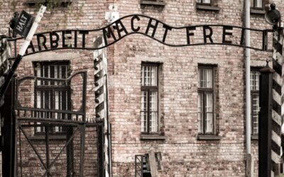 auschwitz Fasulyeden