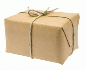 gift sub 1 e1262088484763 Fasulyeden
