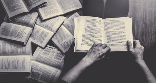 book 1 1024x546 1 Fasulyeden