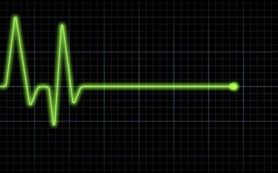 6a00d8341bfae553ef0192ac284c64970d Fasulyeden