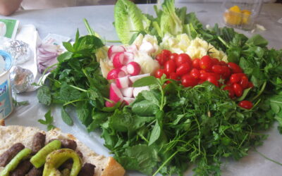 kofteankara 241 Fasulyeden