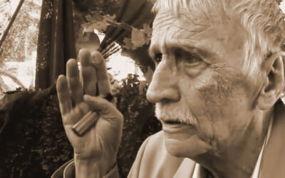 55eae8c2f018fbb8f89e74f9 e1714953047776 Fasulyeden