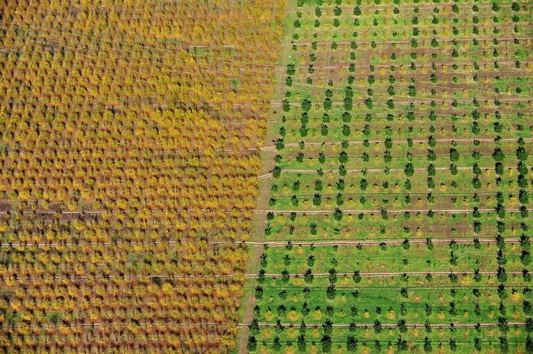 gokyuzunden-nefes-kesen-antalya,ZHGu-SuI2Ui3jgC8iLZWLw