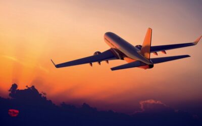 travel agents e1714952580722 Fasulyeden