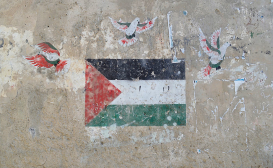 palestine 1 Fasulyeden