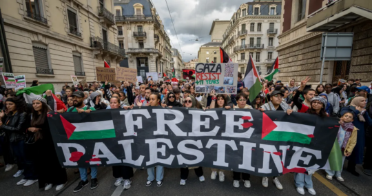 palestine 3 Fasulyeden